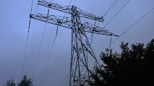 Stedin laat groen onder hoogspanningslijnen snoeien om veiligheid te waarborgen