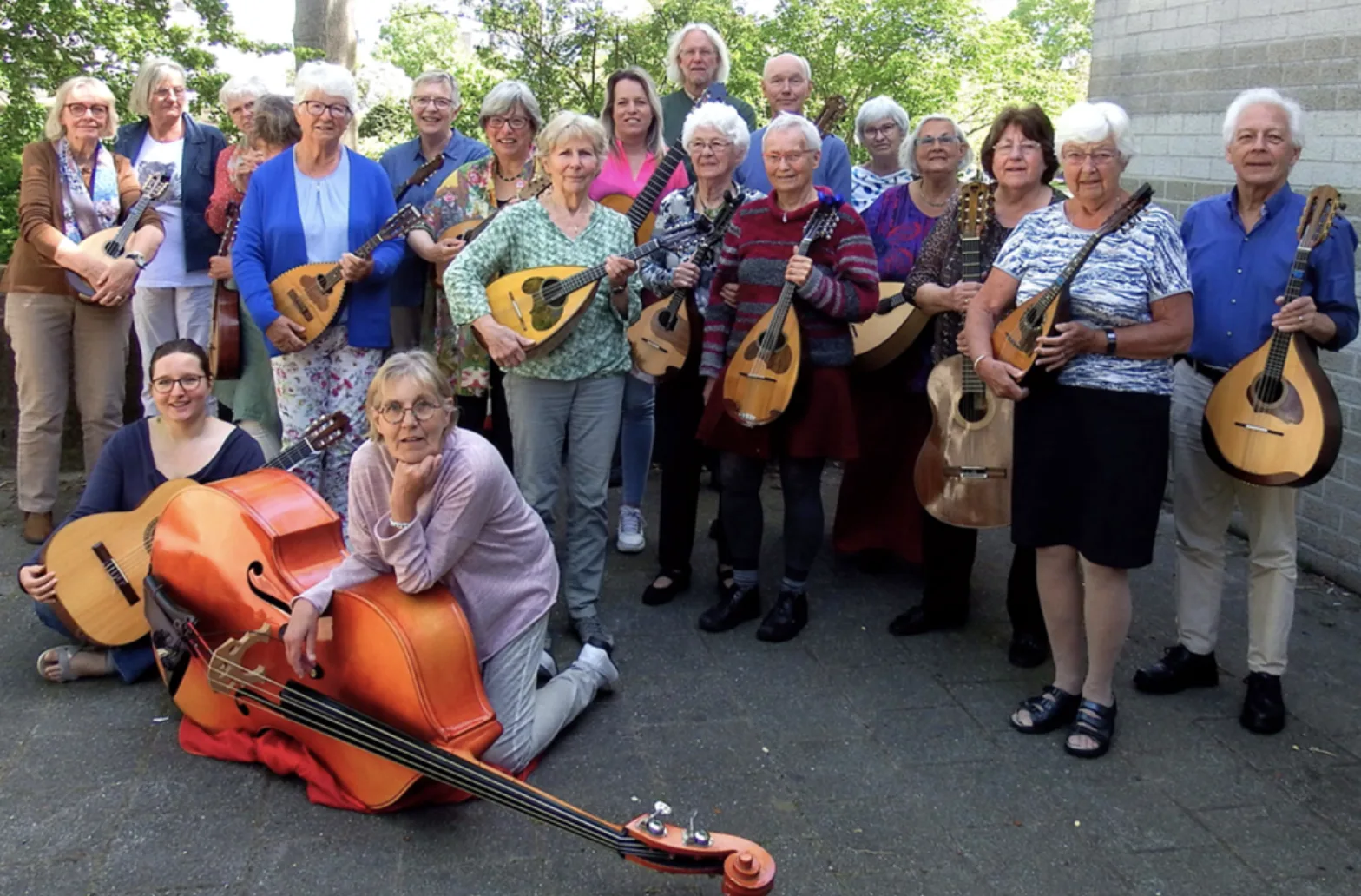 Mandoline en gitaarorkest