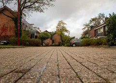 ‘De Salamanderweide’