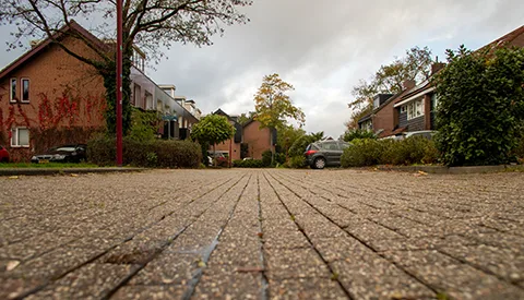 ‘De Salamanderweide’