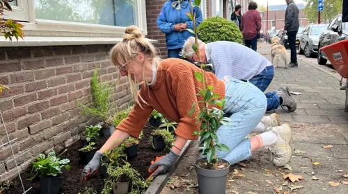Zonnepanelen, struiken en stadsbeestjes: Nieuwegein vergroent met lef