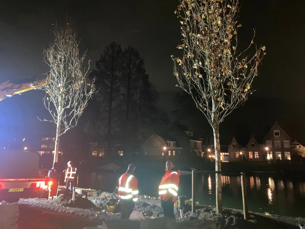 Bomen Dorpsstraat nieuw
