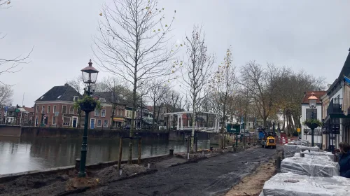 Nieuwe rij bomen in Vreeswijk geplant: Dorpsstraat huilt opnieuw, dit keer van blijdschap