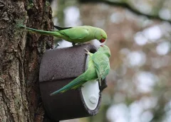 ‘Foto van de week’