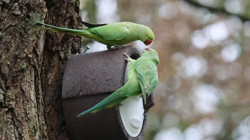 ‘Foto van de week’