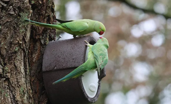 ‘Foto van de week’