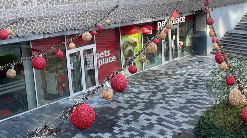 Scheuren? Alleen in het vertrouwen, niet in het beton