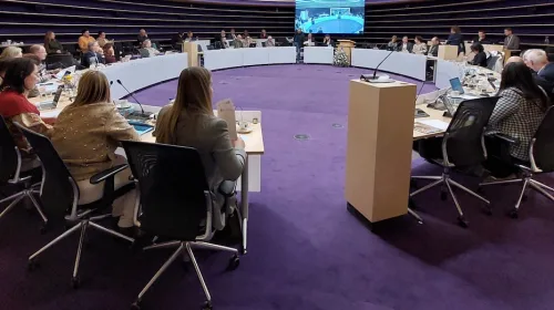 Zes uit zes: raad slikt hele ideeënmenu in één keer