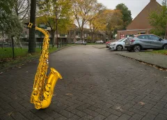 ‘De Saxofoonlaan’