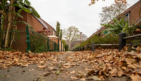 ‘De Schaapweide’