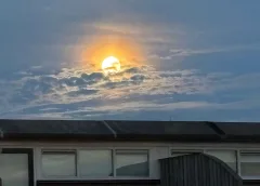 ‘Foto van de week’