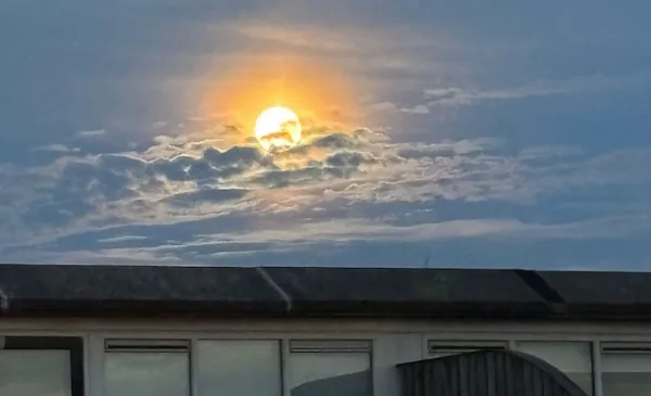 ‘Foto van de week’