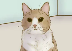 ‘De strip van Kim Houtzager’