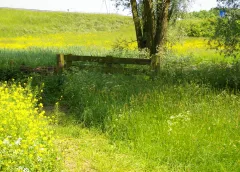 Dichter Ton de Gruijter bericht: ‘de groeiende stad’
