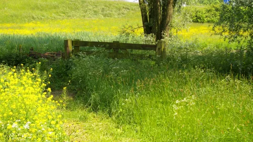 Dichter Ton de Gruijter bericht: ‘de groeiende stad’