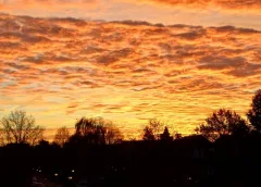 ‘Foto van de week’