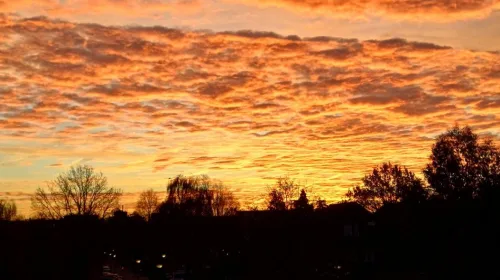 ‘Foto van de week’