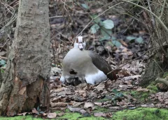 ‘Foto van de week’