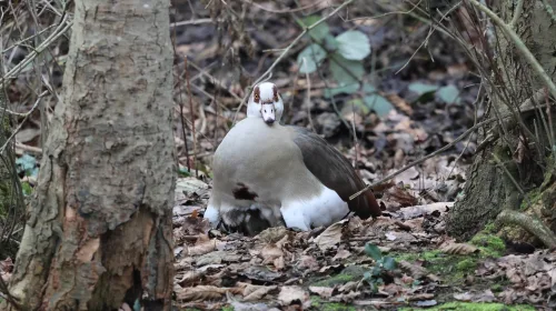 ‘Foto van de week’