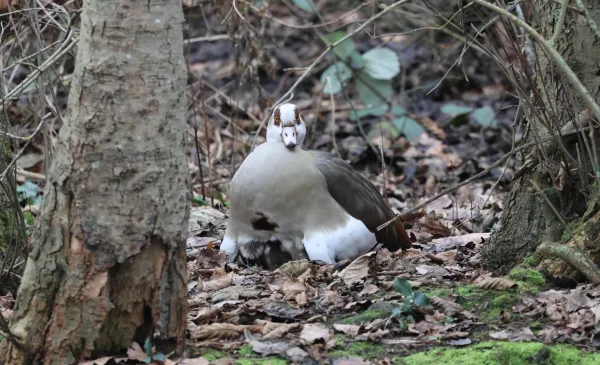 ‘Foto van de week’