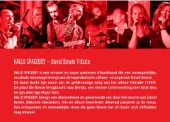Twee tribute-bands, één podium: The Blue Mask en Hallo Spaceboy