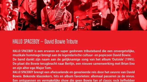 Twee tribute-bands, één podium: The Blue Mask en Hallo Spaceboy