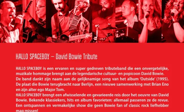 Twee tribute-bands, één podium: The Blue Mask en Hallo Spaceboy