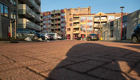 ‘De Schellingburg’