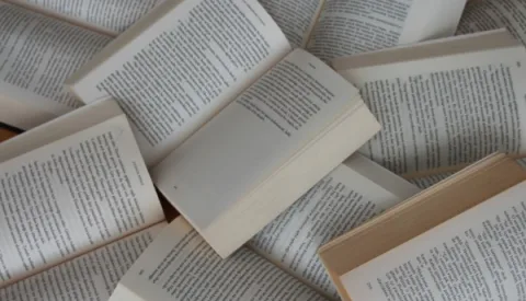 Nederlandse boeken over Noord Nederland die het karakter van de regio laten voelen