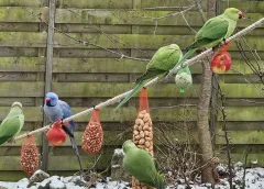 ‘Foto van de week’