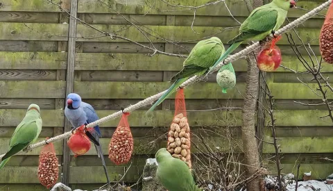 ‘Foto van de week’