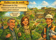 Haiku van de week: ‘’