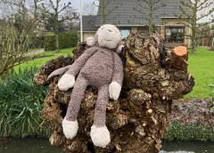 ‘Foto van de week’