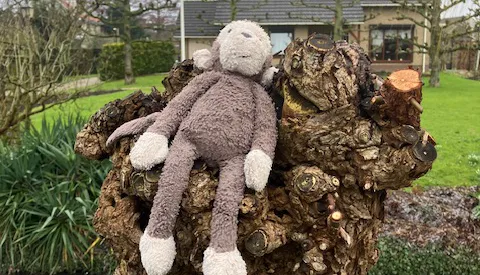 ‘Foto van de week’