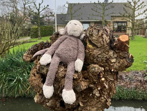 ‘Foto van de week’