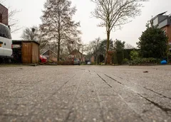 ‘De Schildpadweide’