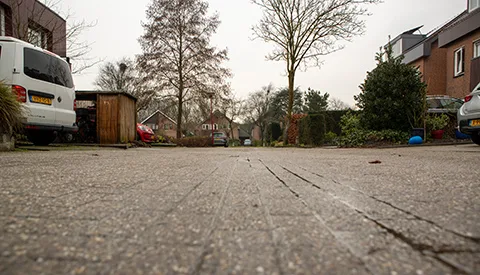 ‘De Schildpadweide’