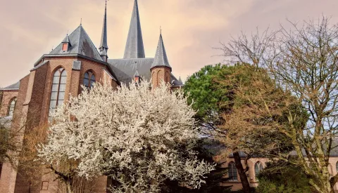 ‘Foto van de week’