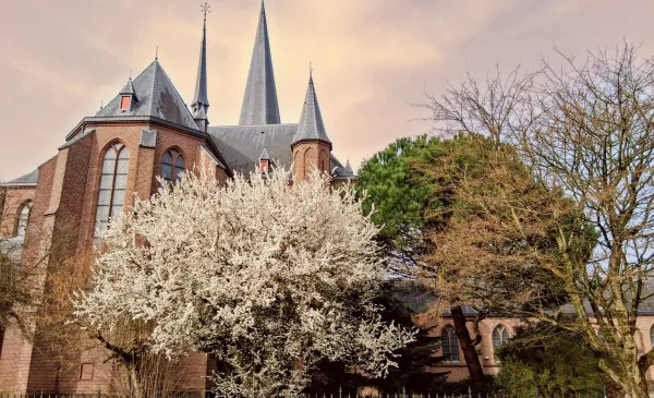 ‘Foto van de week’