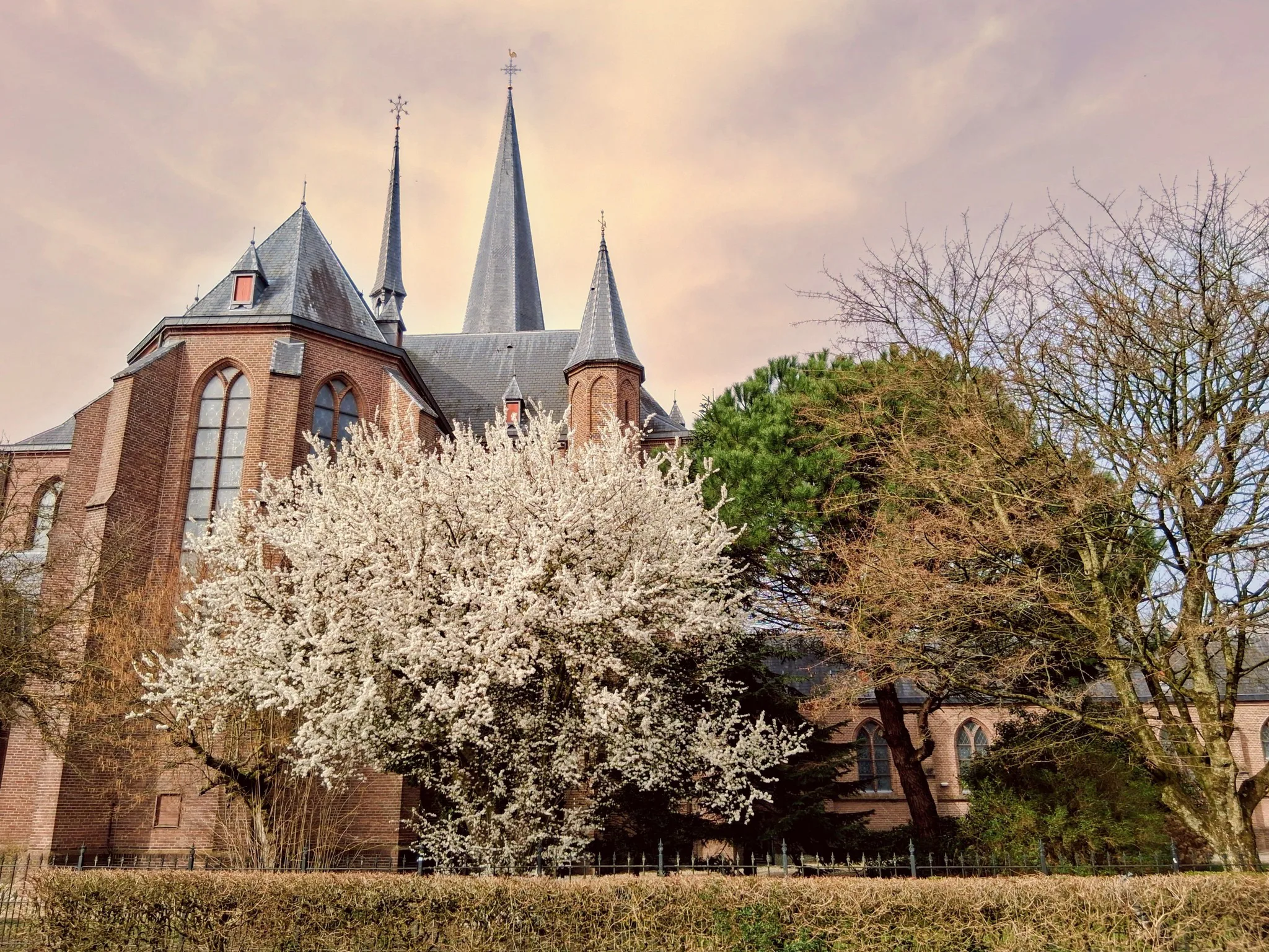 Foto van de week Nicolaaskerk