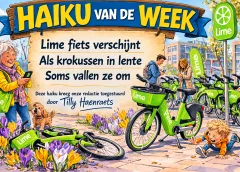 ‘Haiku van de week’