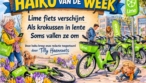 ‘Haiku van de week’