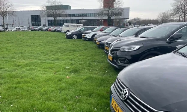psrkeren in gras op blokhoeve
