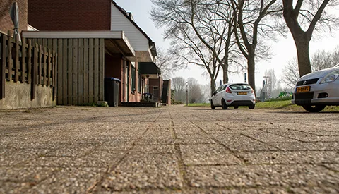 ‘De Scholekster’