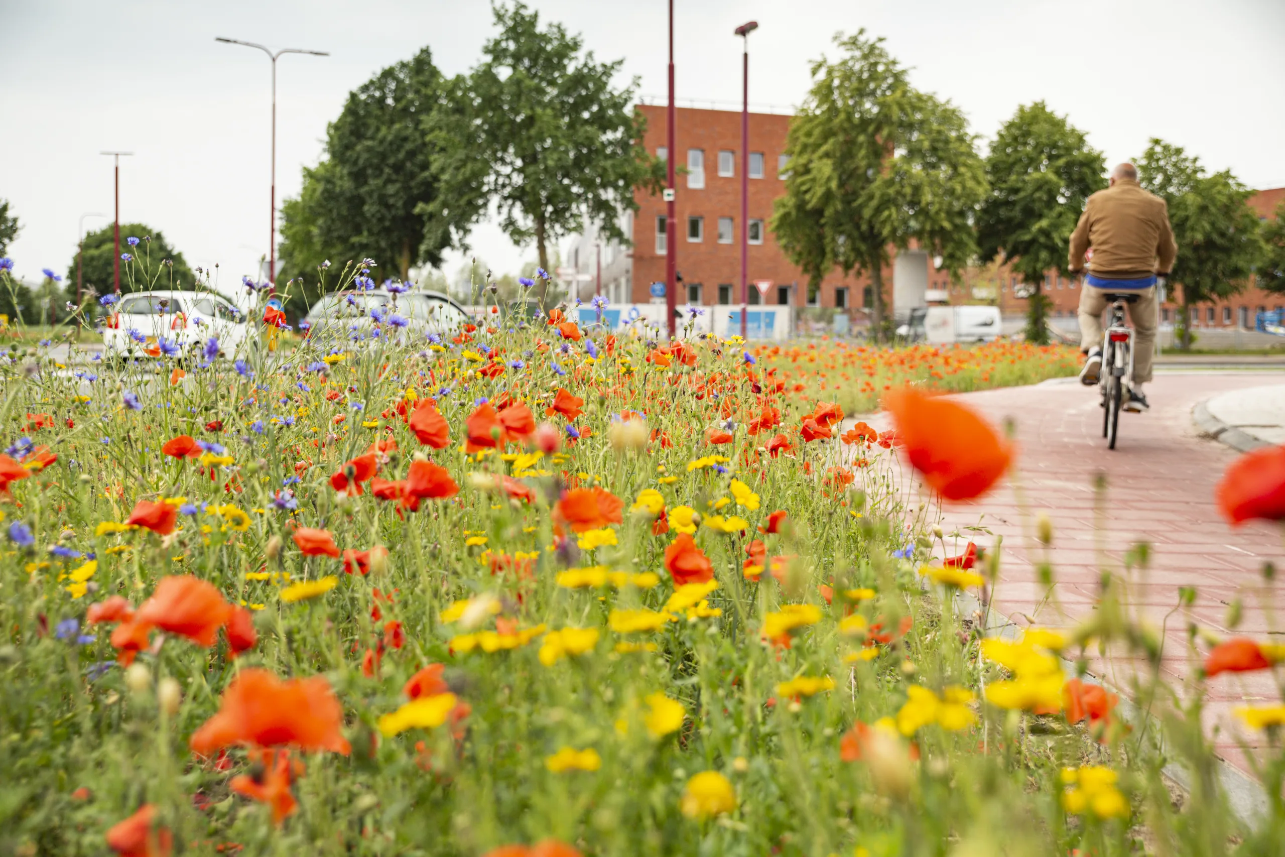 Groene berm door Neeltje Kleijn