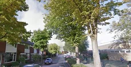 ‘Nieuwegein verstedelijkt en vergroent’ of toch niet?