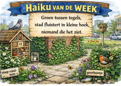 ‘Haiku van de week’