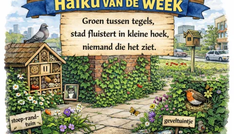 ‘Haiku van de week’