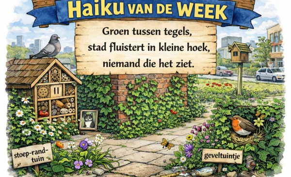 ‘Haiku van de week’