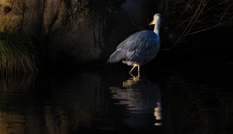 Fotogein laat DE KOM oplichten met ‘Bijzonder Licht’